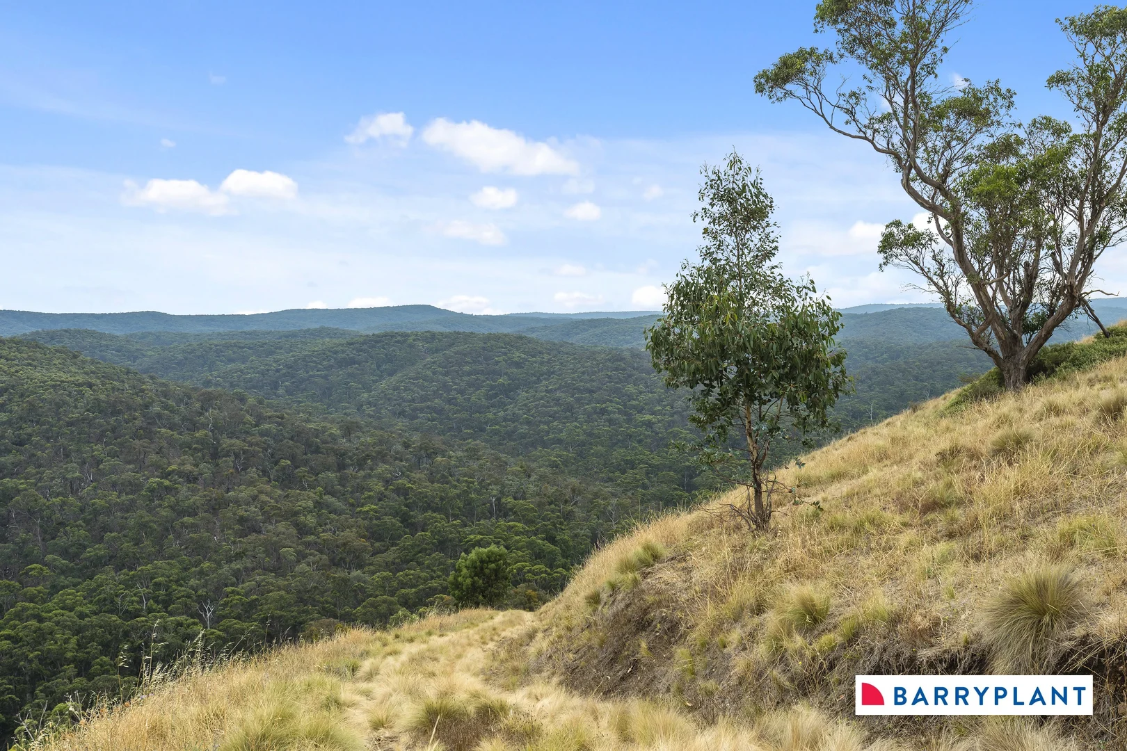 Additional image 28 of 1728 Gisborne Road, Coimadai VIC 3340