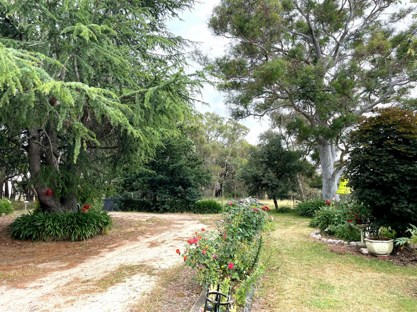 Additional image 38 of "Abbyville" 90 Convent Lane, Borenore NSW 2800