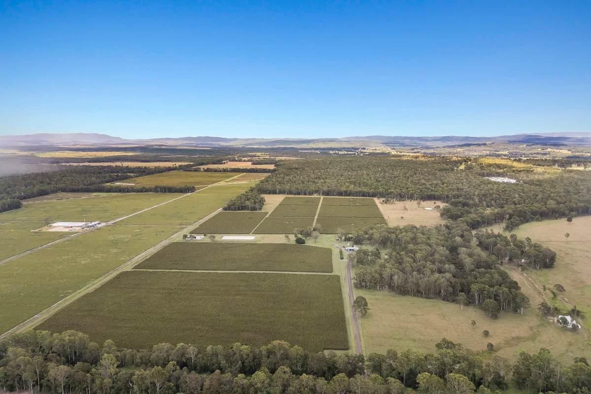 Additional image 42 of 8855 Summerland Way, Leeville NSW 2470