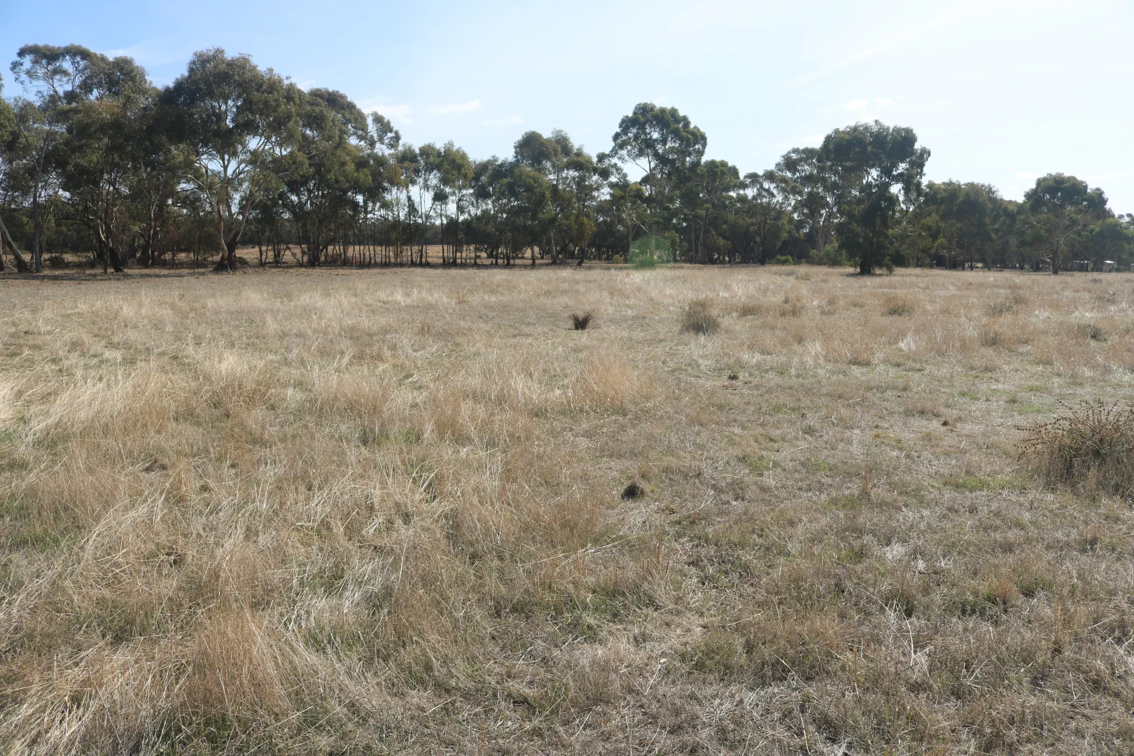Additional image 6 of Old Boort Road, Wedderburn VIC 3518