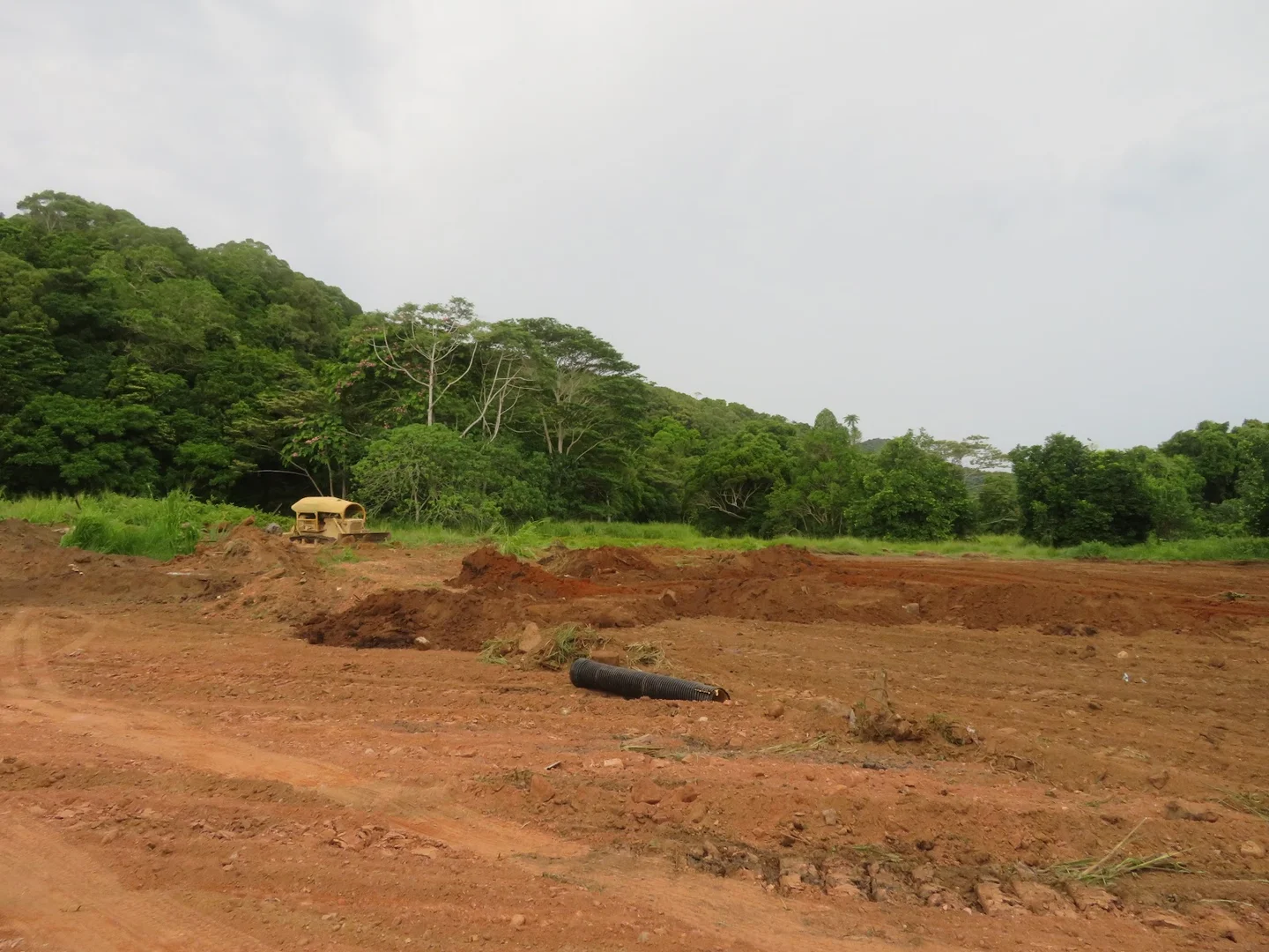 Additional image 5 of 1 Flying Fish Point Road, Innisfail Estate QLD 4860