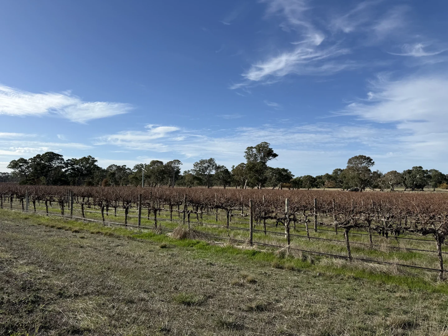 Additional image 14 of Lot 103 Dergholm Road, Penola SA 5277