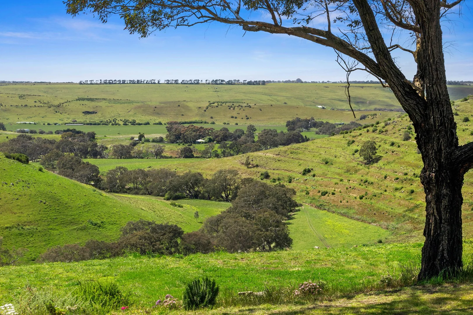 Additional image 18 of 2300 Midland Highway, Bannockburn VIC 3331