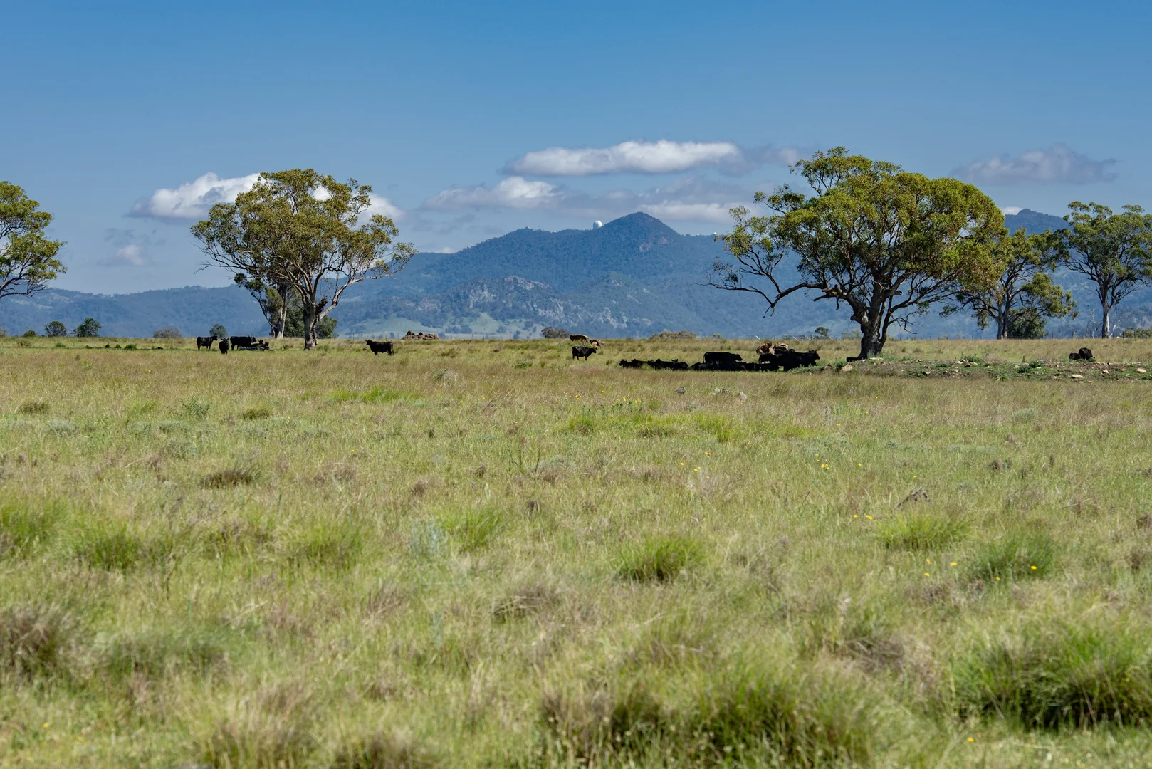 Additional image 21 of TIMBYDALE NEWELL HIGHWAY, Coonabarabran NSW 2357