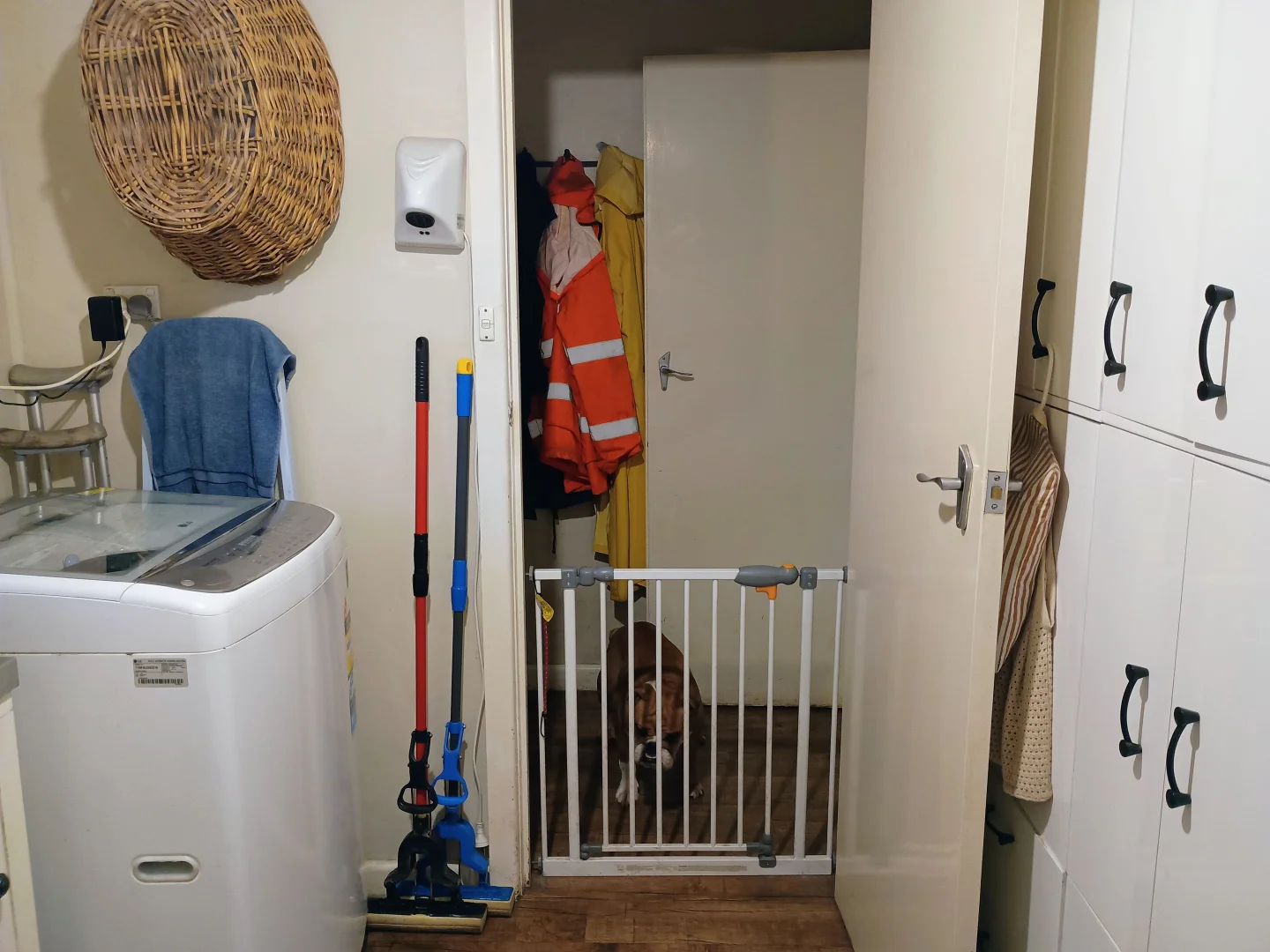 Additional image 18 of 72 DOUGHERTIES ROAD, Portland West VIC 3305