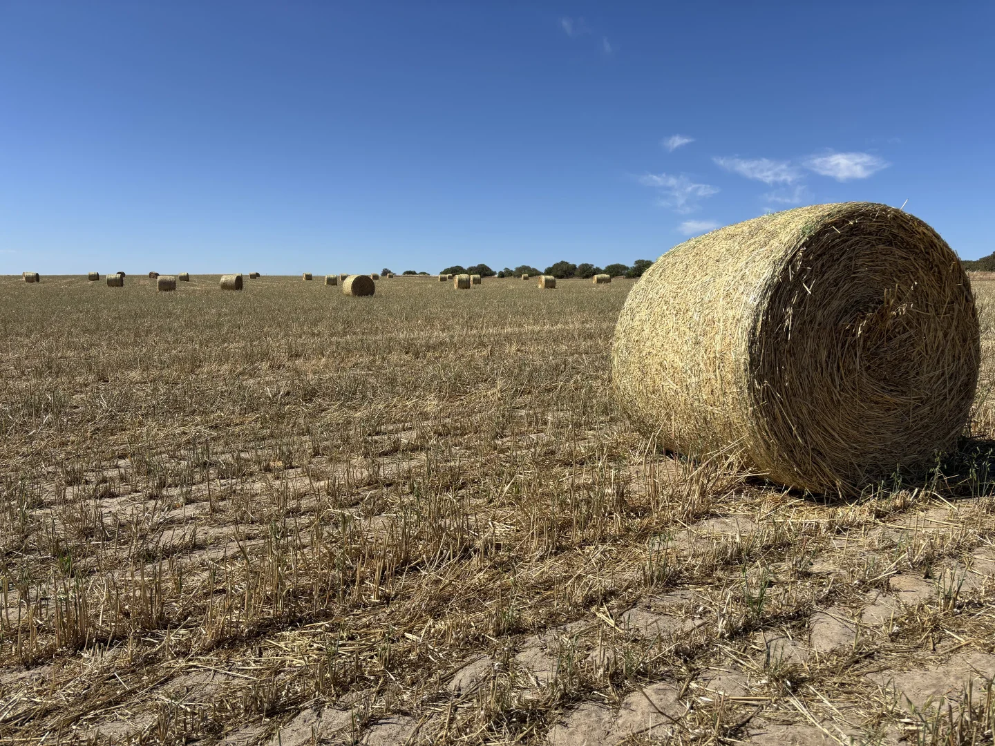 Additional image 6 of . 'Cobbers Soak', Quairading WA 6383