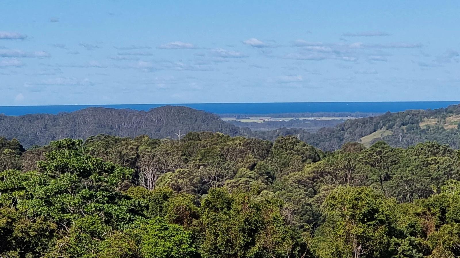 Additional image 15 of Dalwood NSW 2477