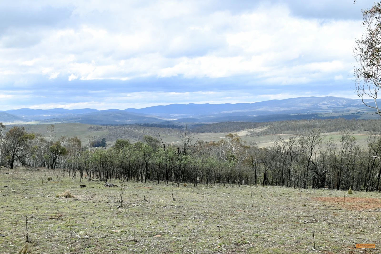 Additional image 28 of "Eagle Heights" 636 Caddigat Road, Dry Plain NSW 2630