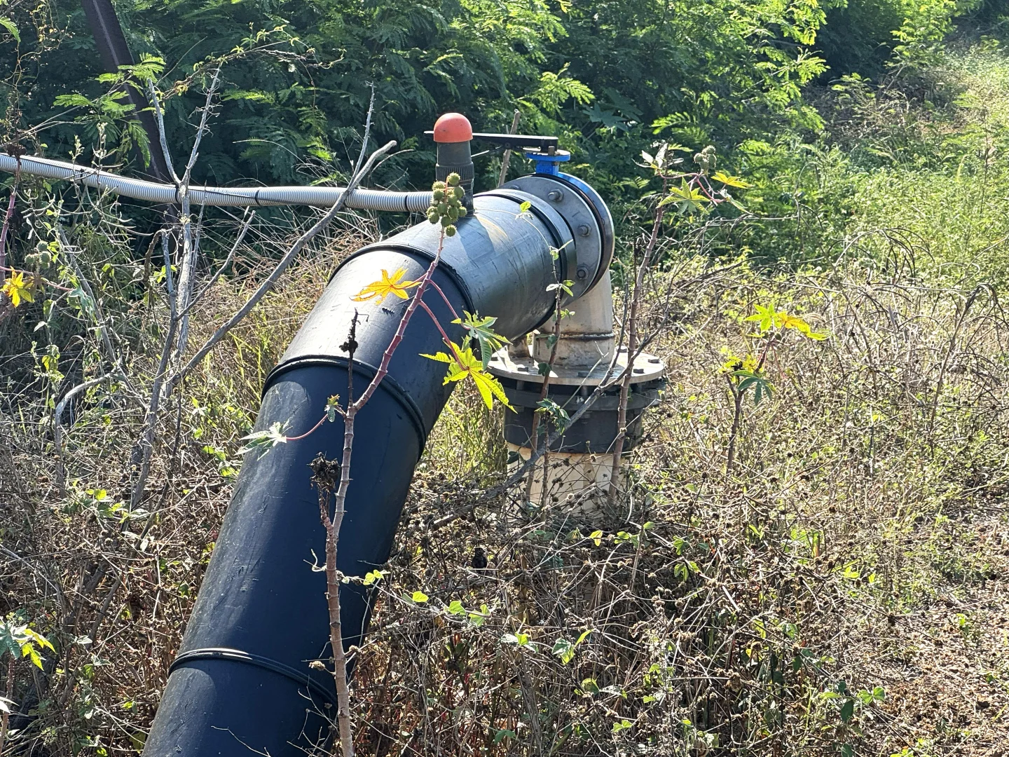 Additional image 6 of 121 Hobson Road, Jarvisfield QLD 4807