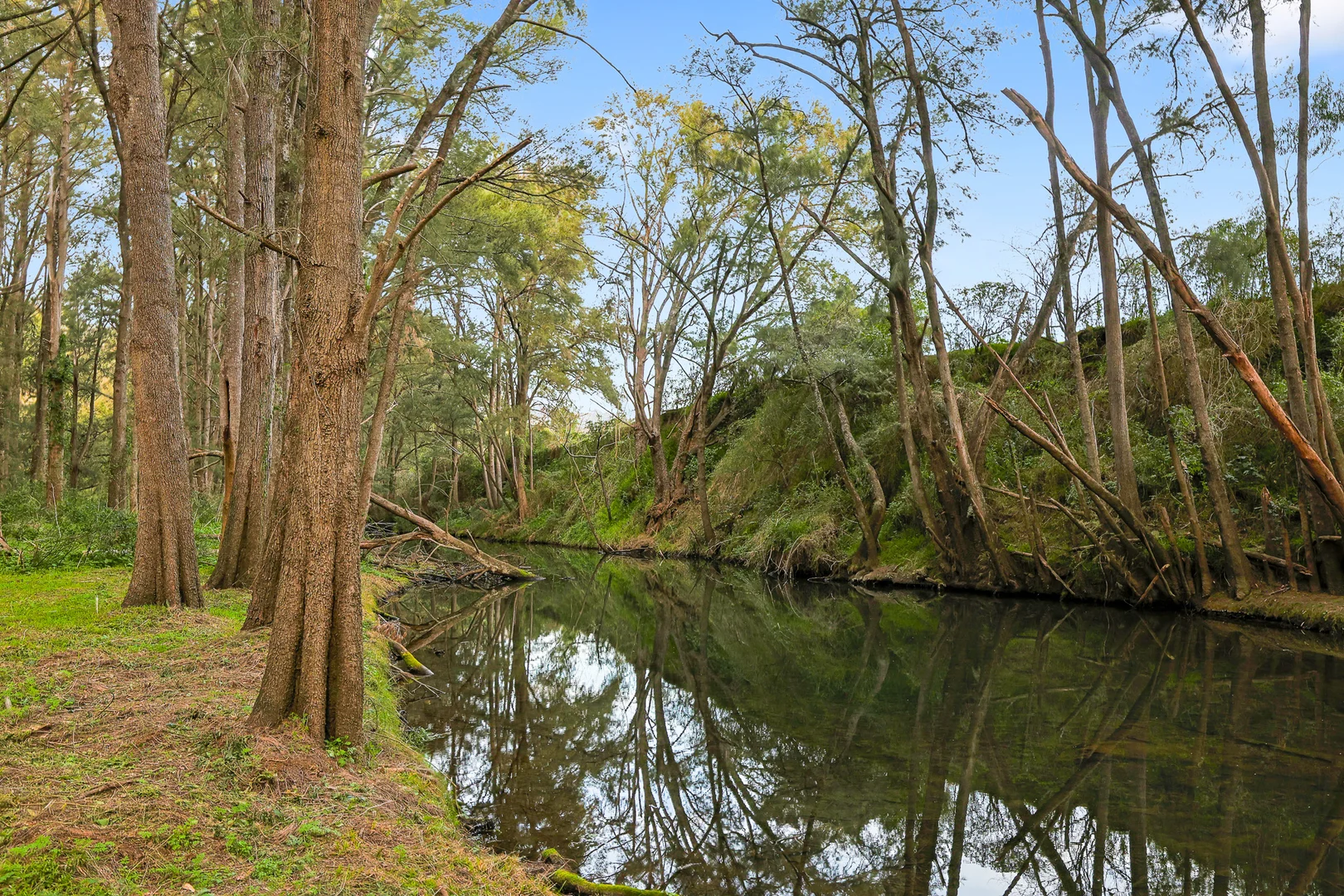 Additional image 3 of 442 Riverlea Road, Mudgee NSW 2850