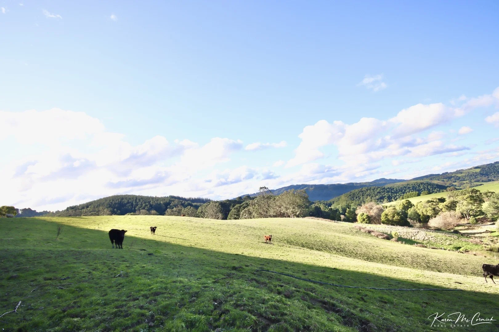 Additional image 4 of 200 Wonga Square Top Road, Wonga VIC 3960