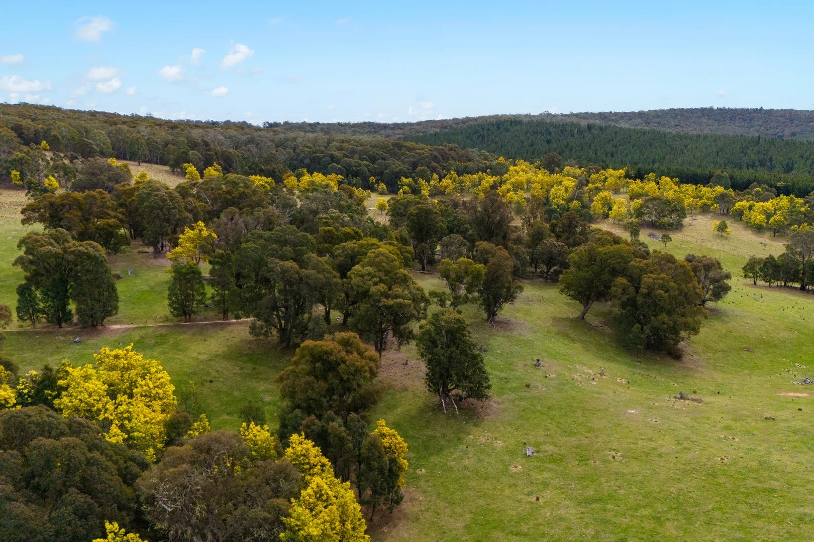 Additional image 29 of 171 Big Flat Road, Bombala NSW 2632