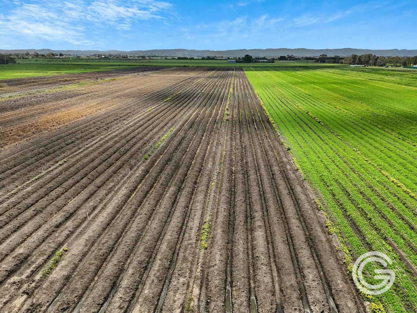 Additional image 5 of 1485 Koo Wee Rup-Longwarry Road, Catani VIC 3981