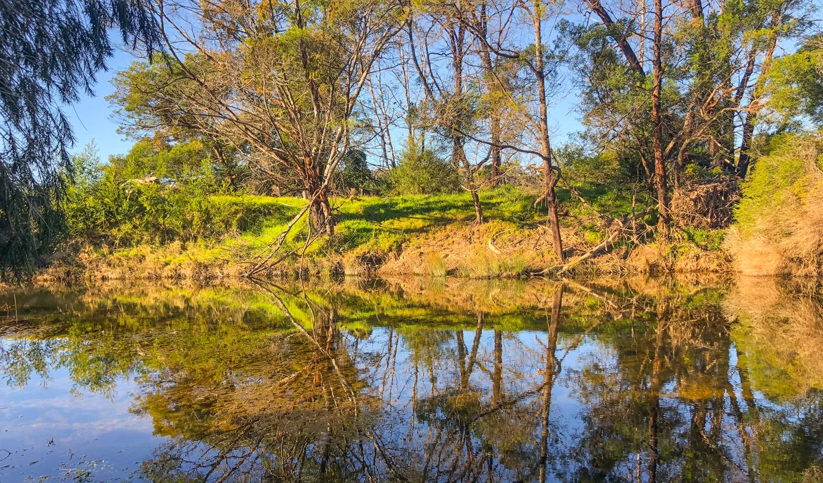 Additional image 22 of 64 Yowaka River Road, Greigs Flat NSW 2549