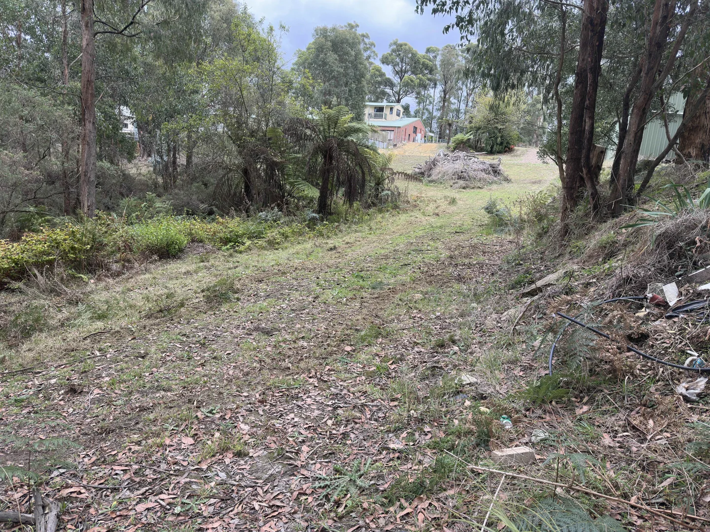 Additional image 8 of 299 National Park Road, Kinglake West VIC 3757