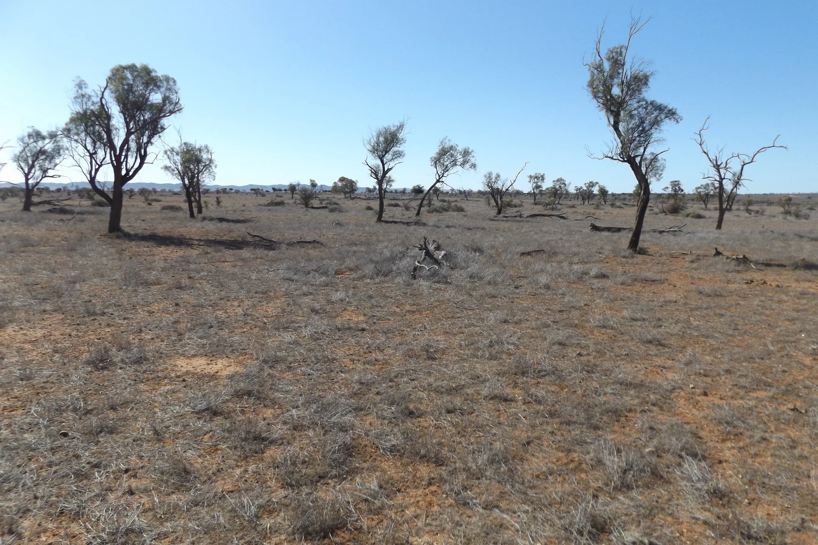 Additional image 10 of Minburra/Lynch Road, Minburra SA 5431