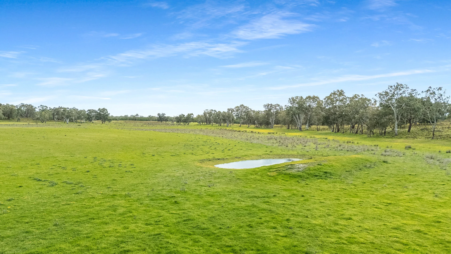 Additional image 21 of 1242 Old Comaum Rd, Coonawarra SA 5263