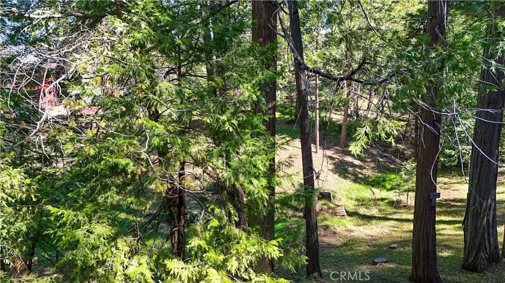 Additional image 119 of 19388 Poplar Cir, Twain Harte, CA 95383