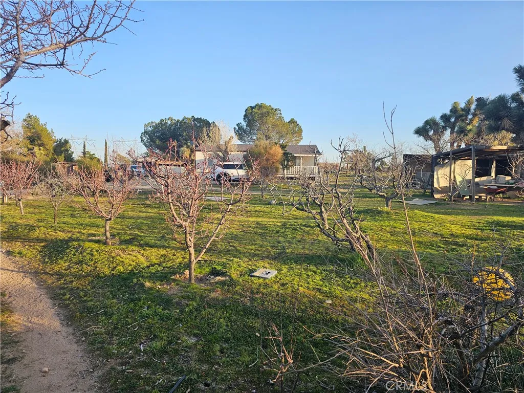 Additional image 10 of 9878 Wilson Ranch Rd, Phelan, CA 92371