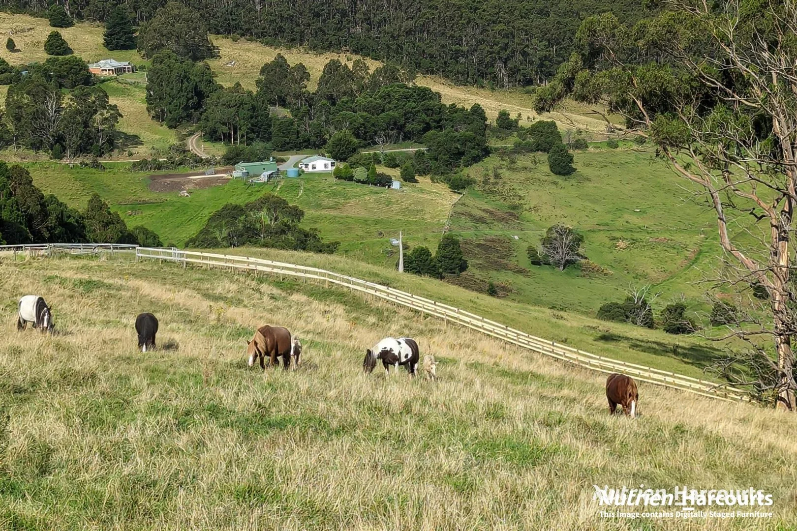 Additional image 36 of 482 Old Whitelaws Track, Devon North VIC 3971