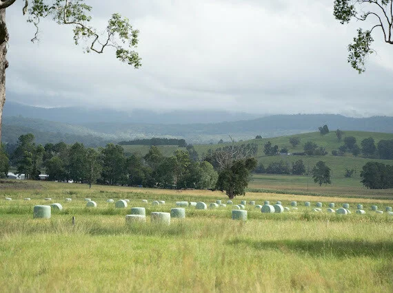 Additional image 22 of 119 Duck Creek Road, Old Bonalbo NSW 2469