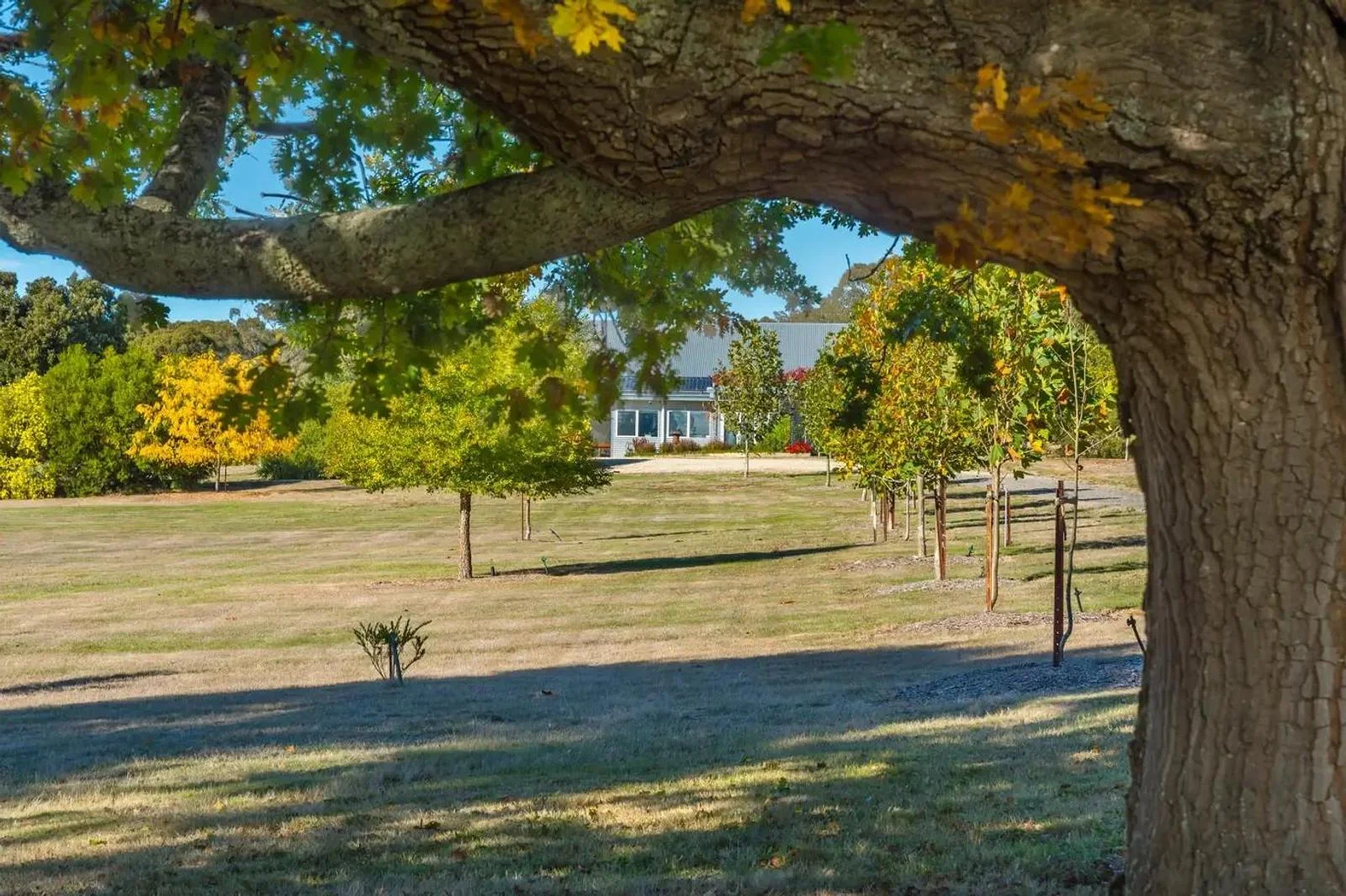 265 Pudding Bag Road, Drummond VIC 3461