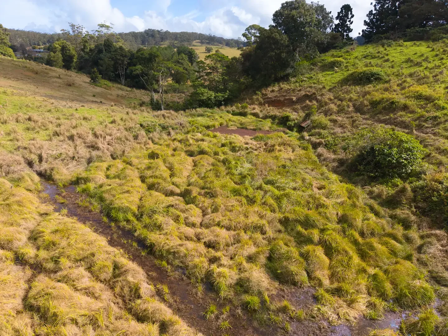 Additional image 11 of Lot 13/400 Bellthorpe West Road, Bellthorpe QLD 4514