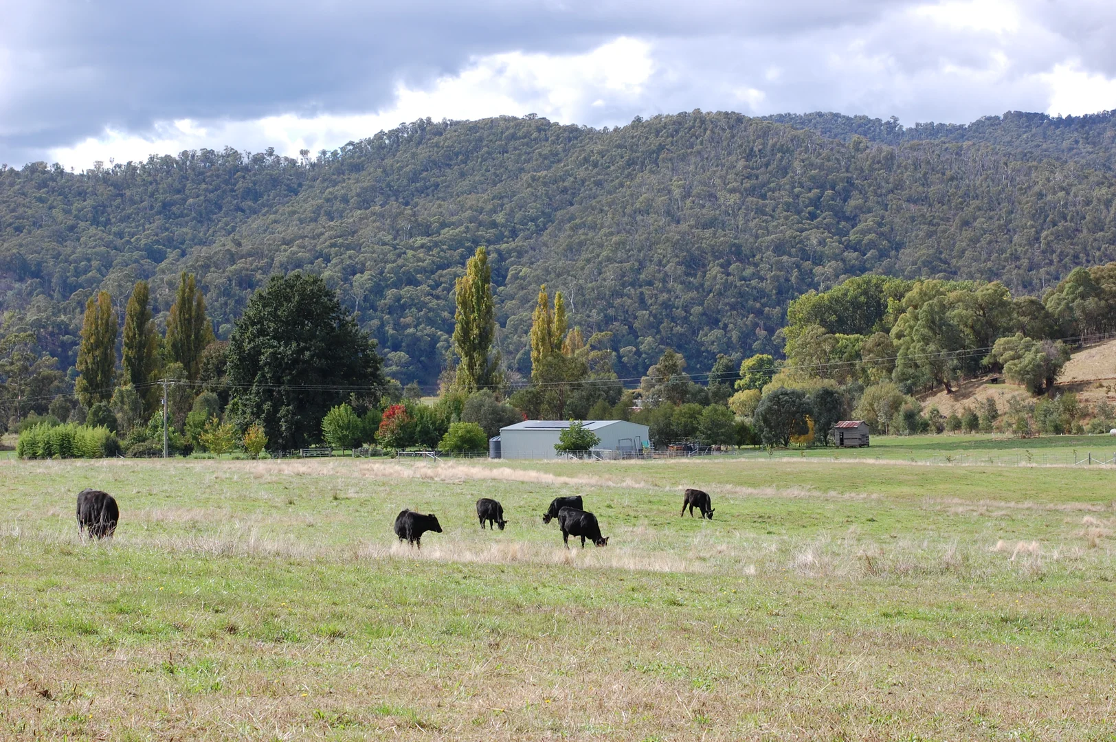 Additional image 30 of 40 Simpsons Creek Track, Nariel Valley VIC 3707