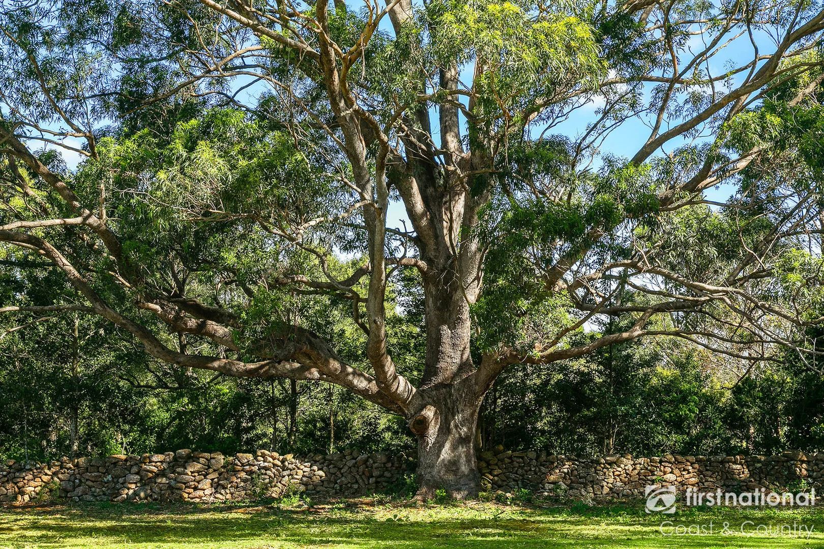 Additional image 6 of 533 Foxground Road, Foxground NSW 2534