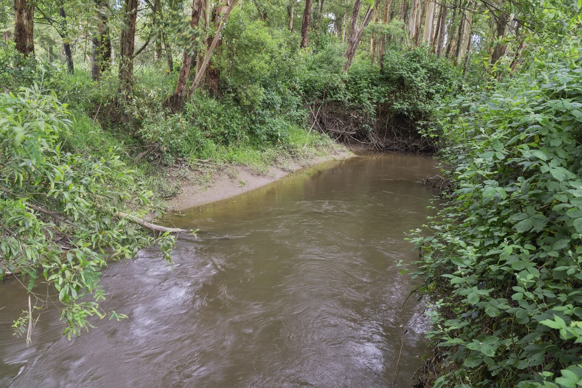 Additional image 35 of 2520 Carlisle Road, Carlisle River VIC 3239