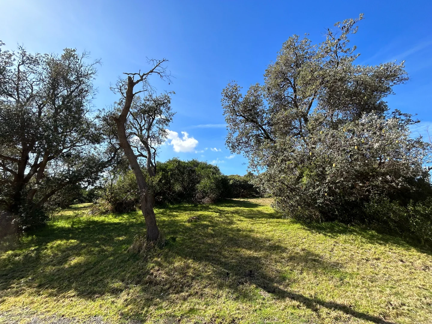 Additional image 5 of 8 ALFRED CRESCENT, Venus Bay VIC 3956