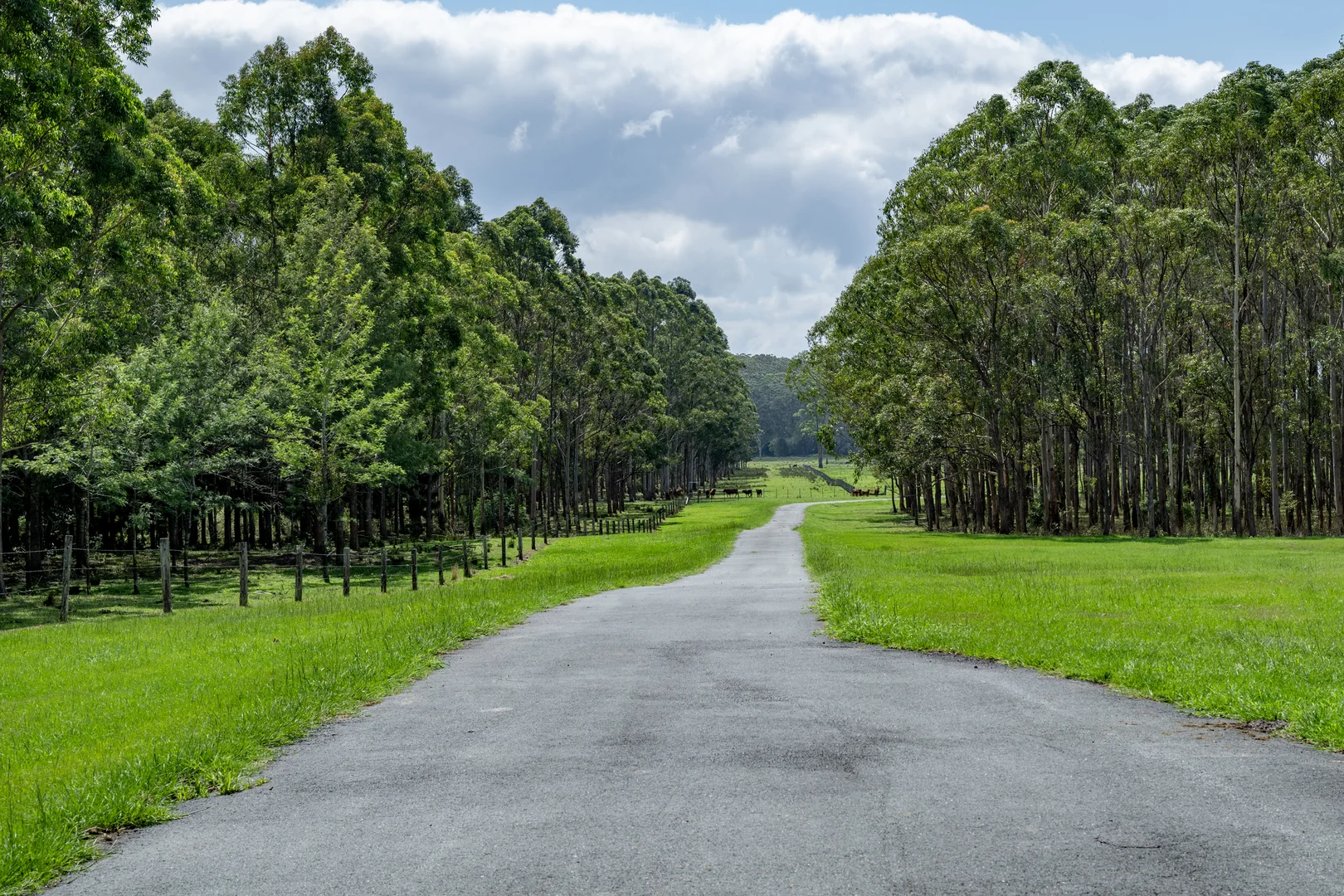 Additional image 10 of 239 Parsons Road, Coondoo QLD 4570
