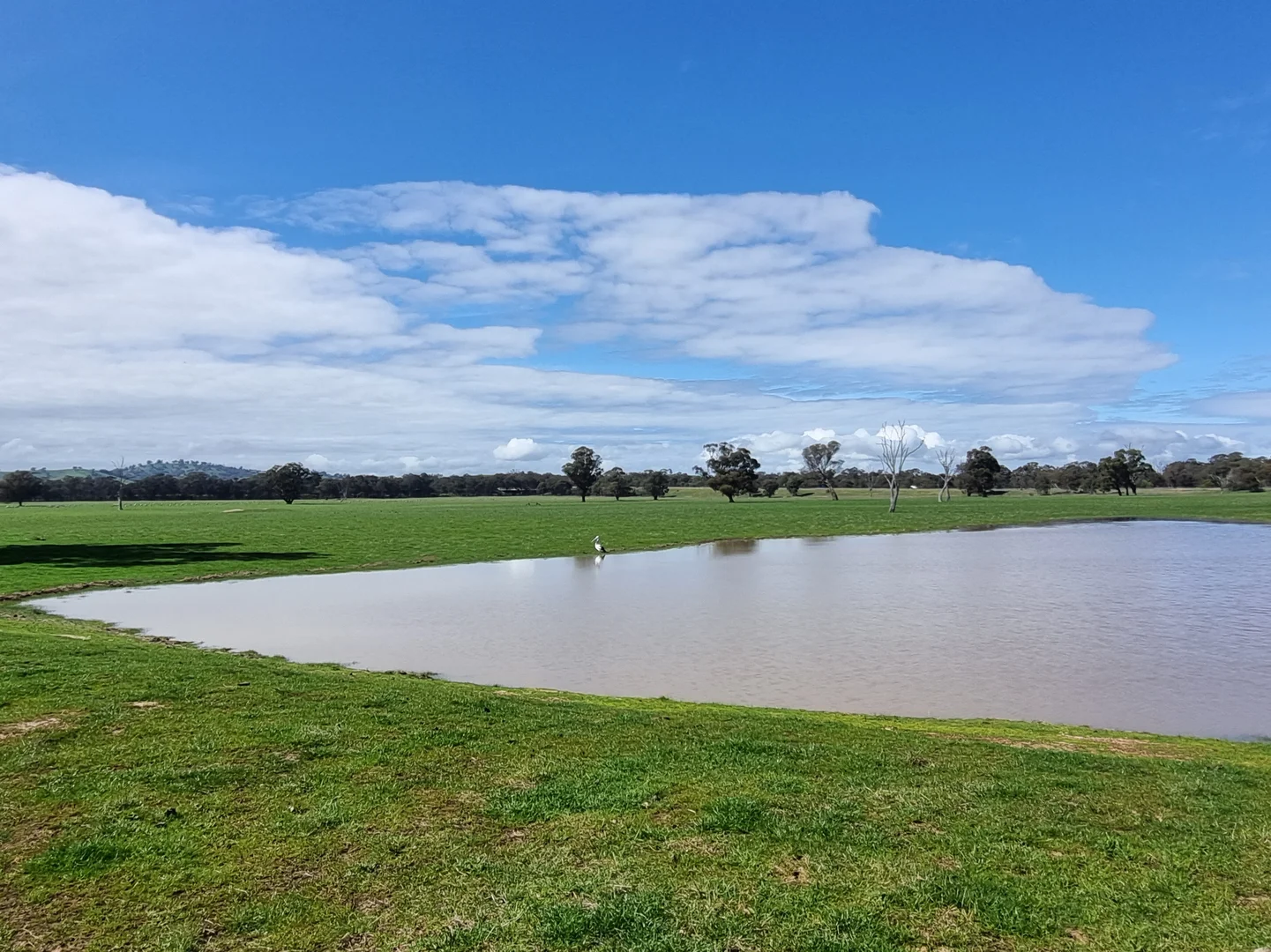 Additional image 3 of 10 Nalinga Road, Seymour VIC 3660
