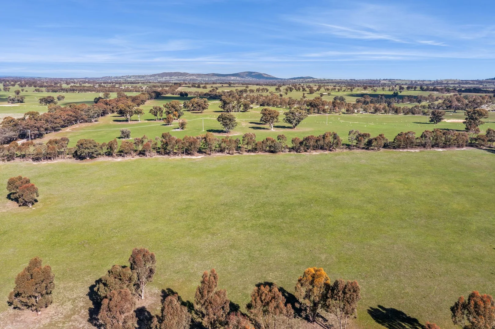 Additional image 8 of Lot 2B Bradford Road, Shelbourne VIC 3515