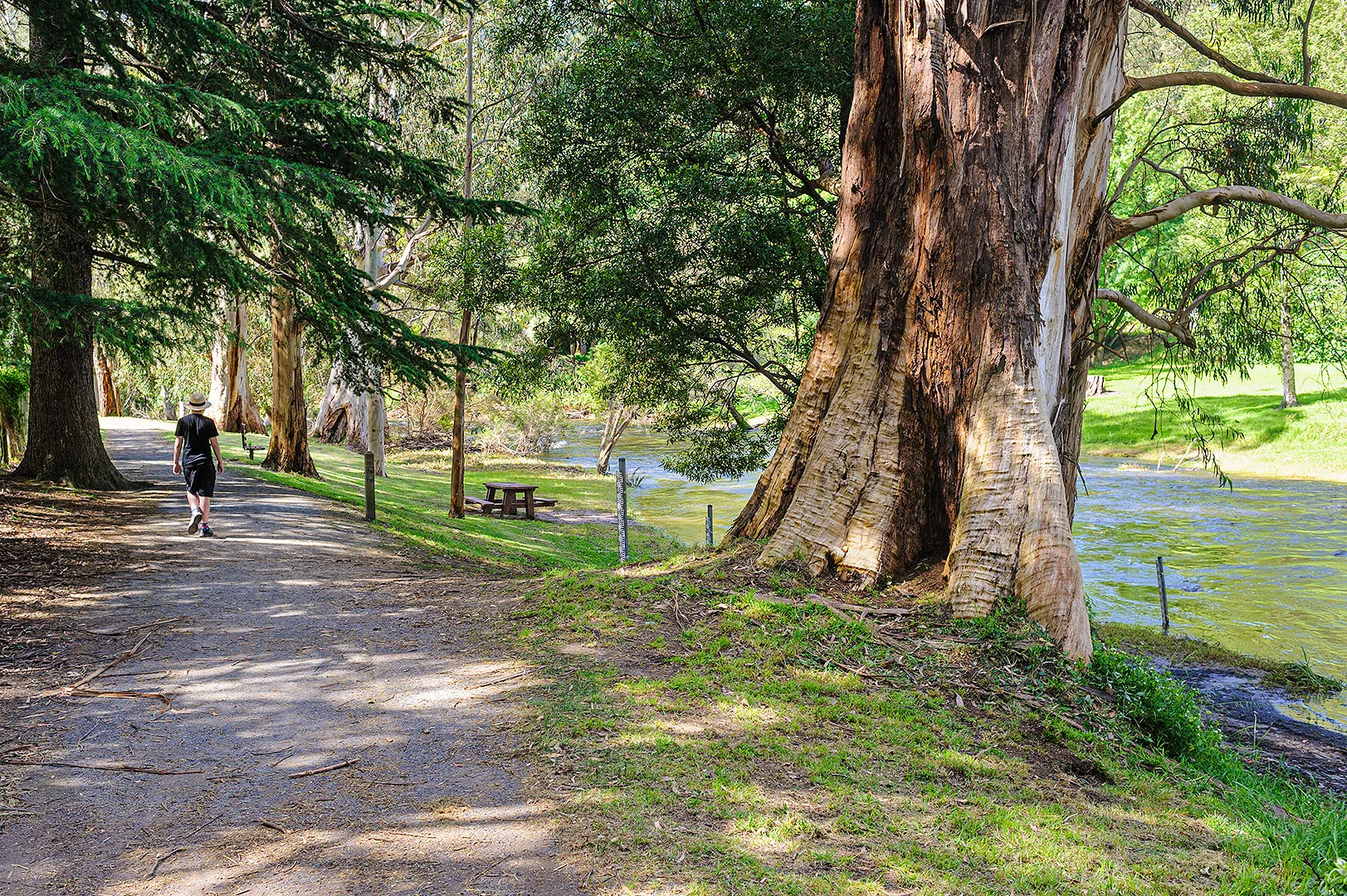 Additional image 7 of 475 Old Warburton Road, Warburton VIC 3799