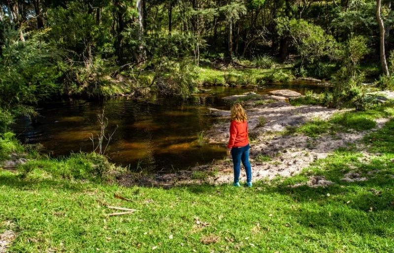 Additional image 30 of 224 Wallaroo Range Road, Willsons Downfall NSW 2372