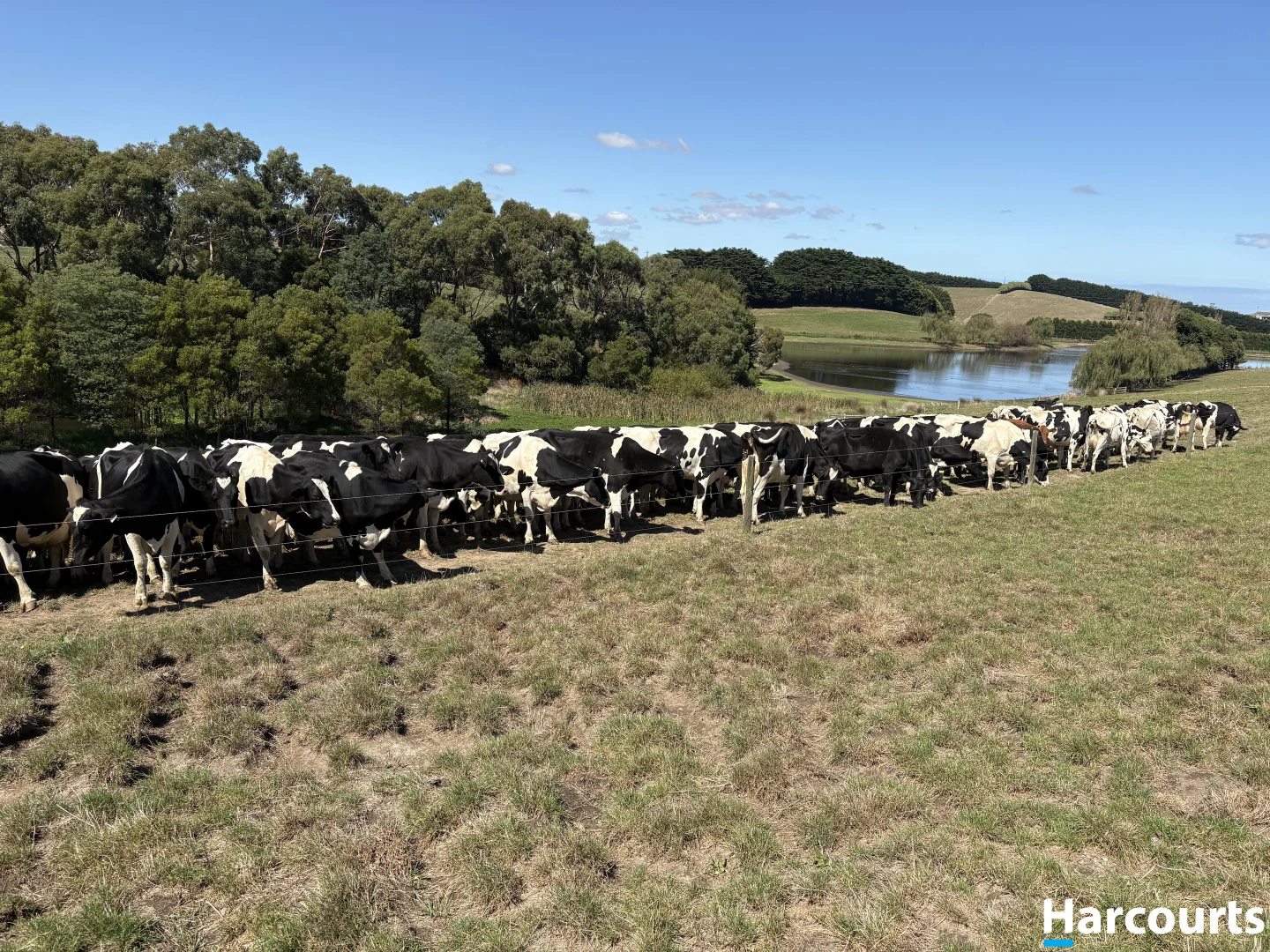 Additional image 17 of 778 Whitelaw Track, Buffalo VIC 3958