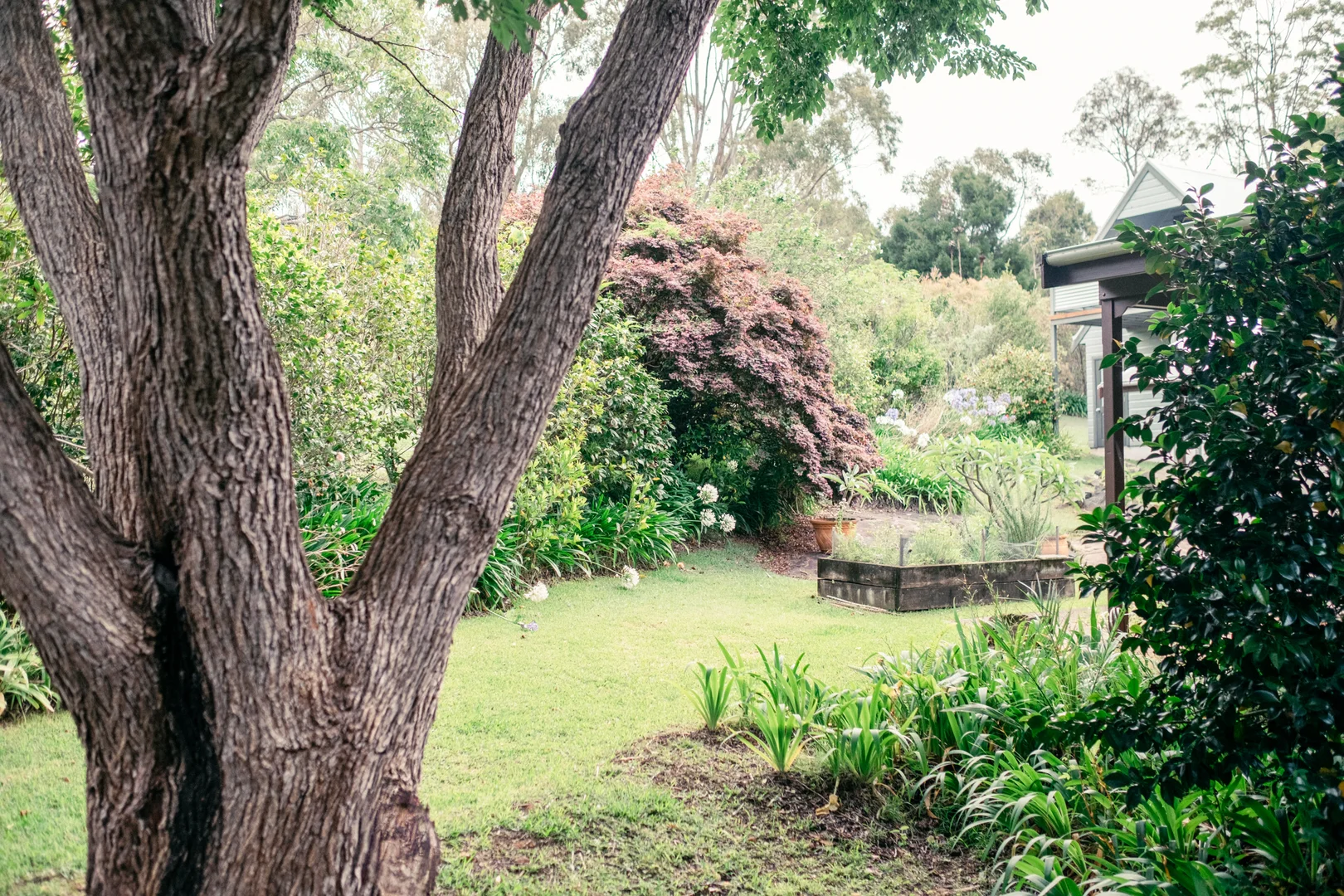 Additional image 31 of 11 Weemala Crescent, Bawley Point NSW 2539