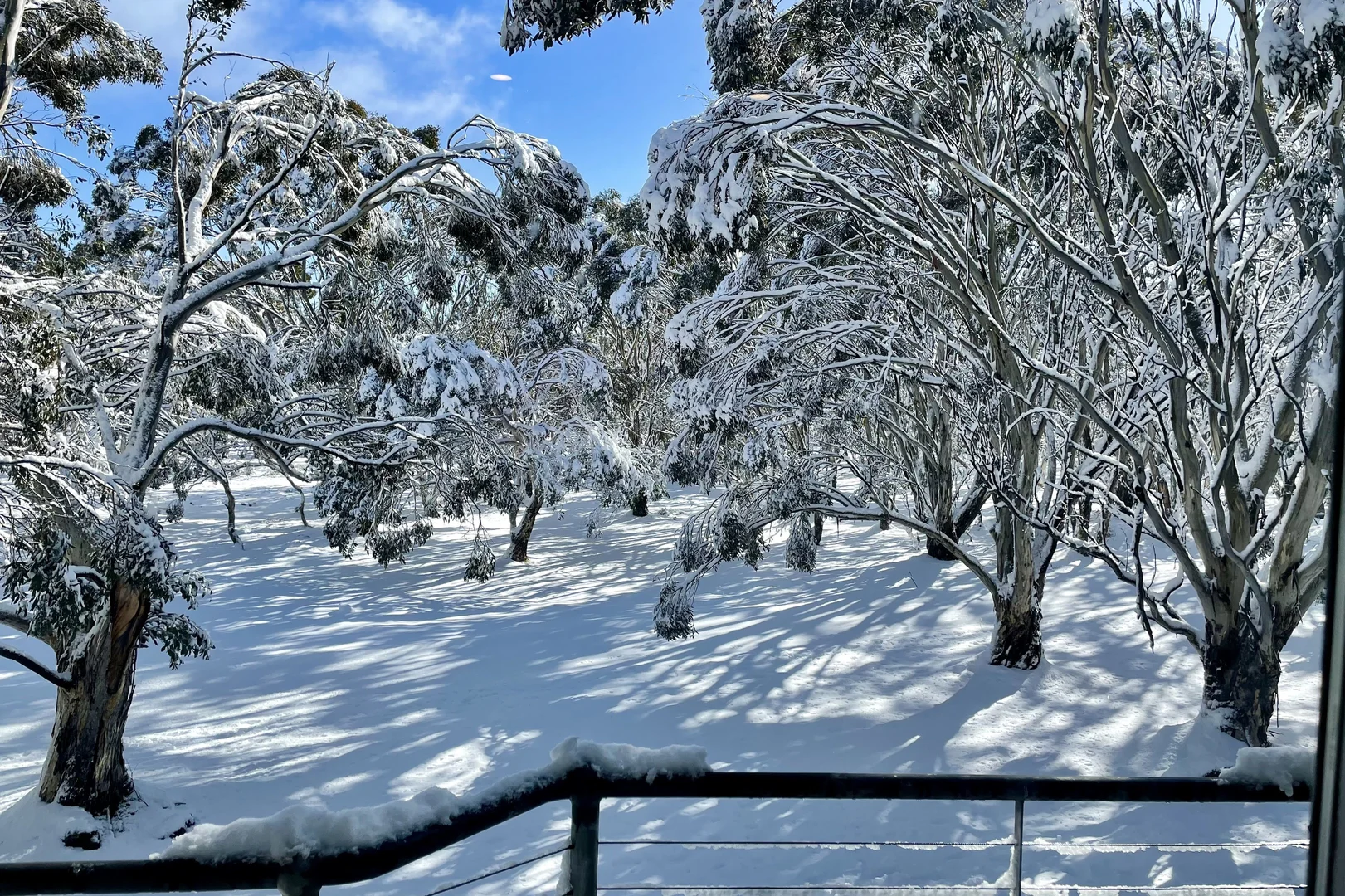 Additional image 22 of 17 Snowgums, Dinner Plain VIC 3898