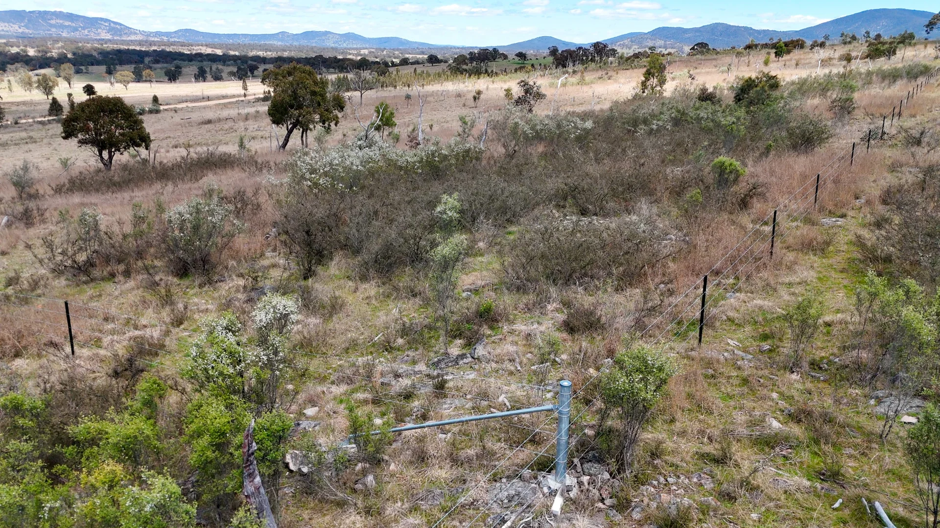 Additional image 6 of 94 Tarban Road, Tenterfield NSW 2372