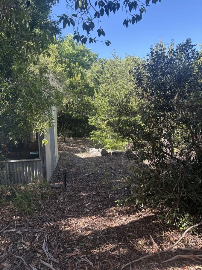 Additional image 9 of 90 Long Street, Warialda NSW 2402