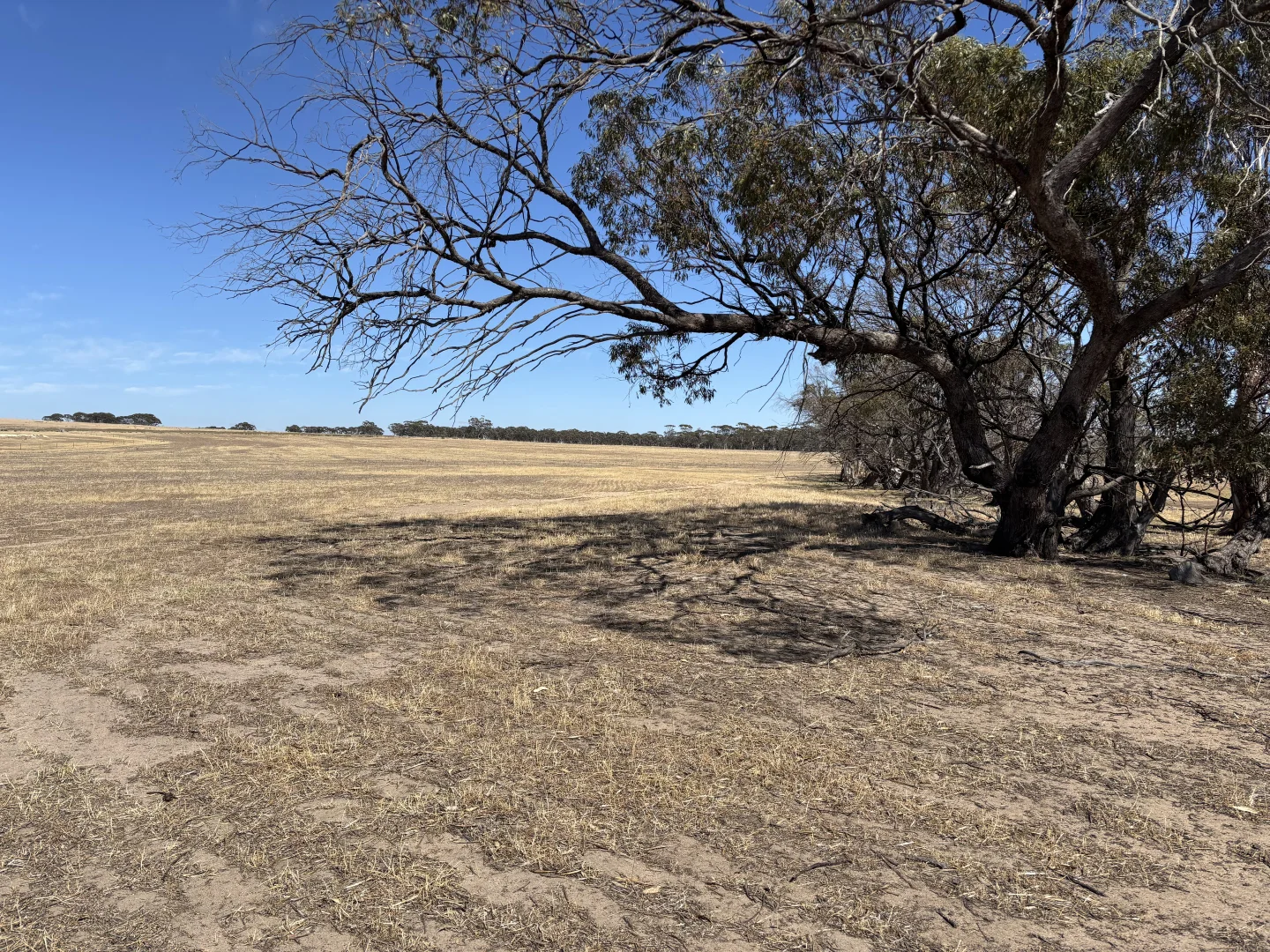 Additional image 17 of . 'Cobbers Soak', Quairading WA 6383