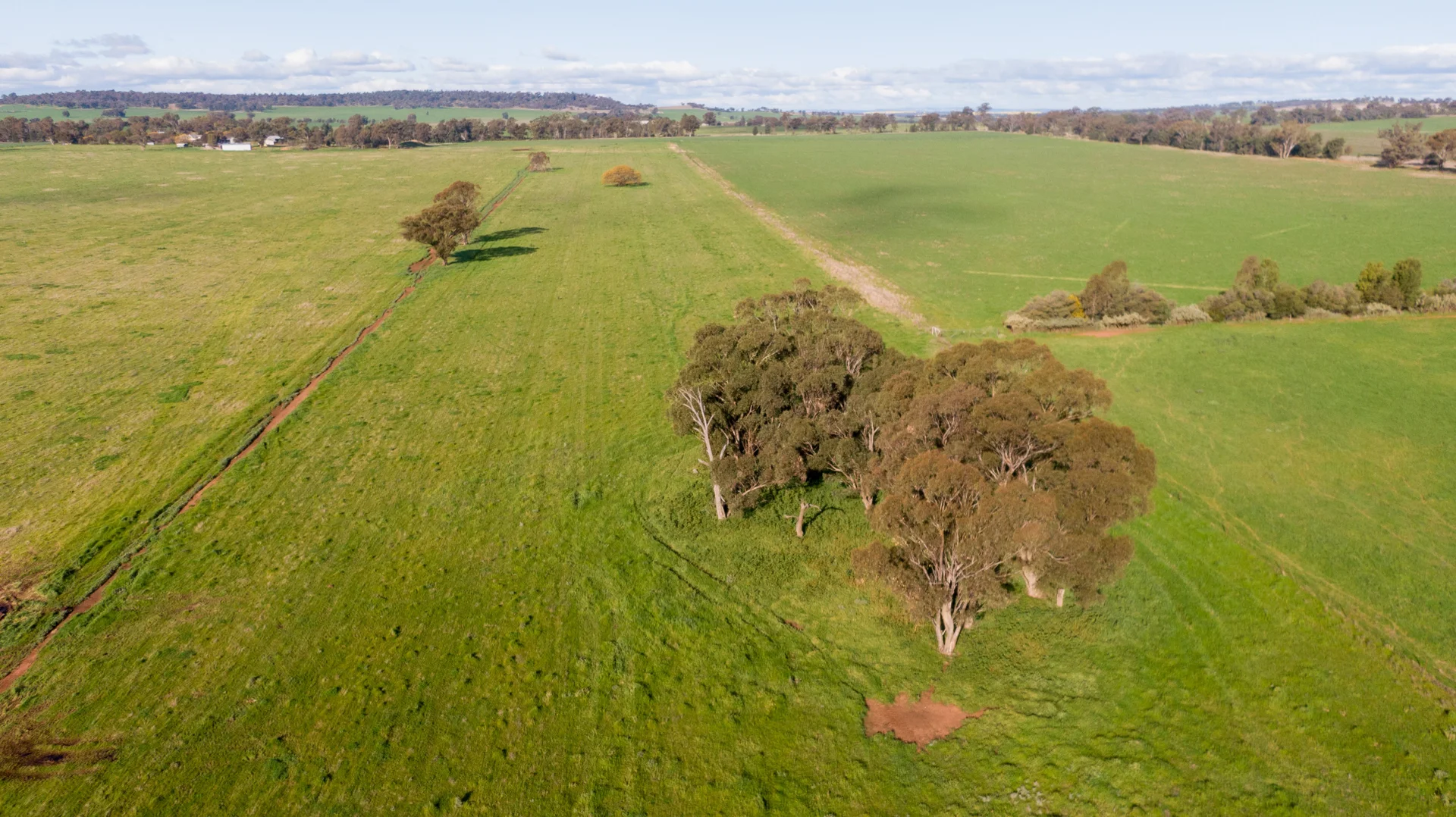 Additional image 9 of Kincora & Poachers Millwood Road, Coolamon NSW 2701