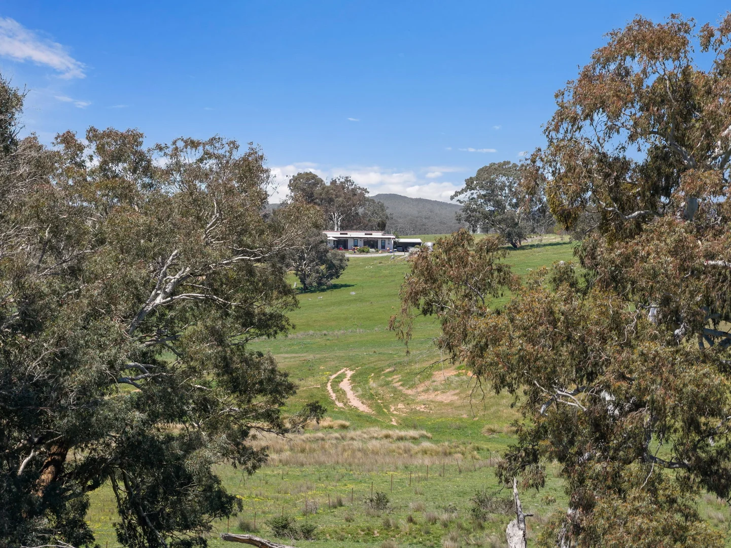 Additional image 18 of "Wattle Grove "1649 Coolalie Road, Yass NSW 2582