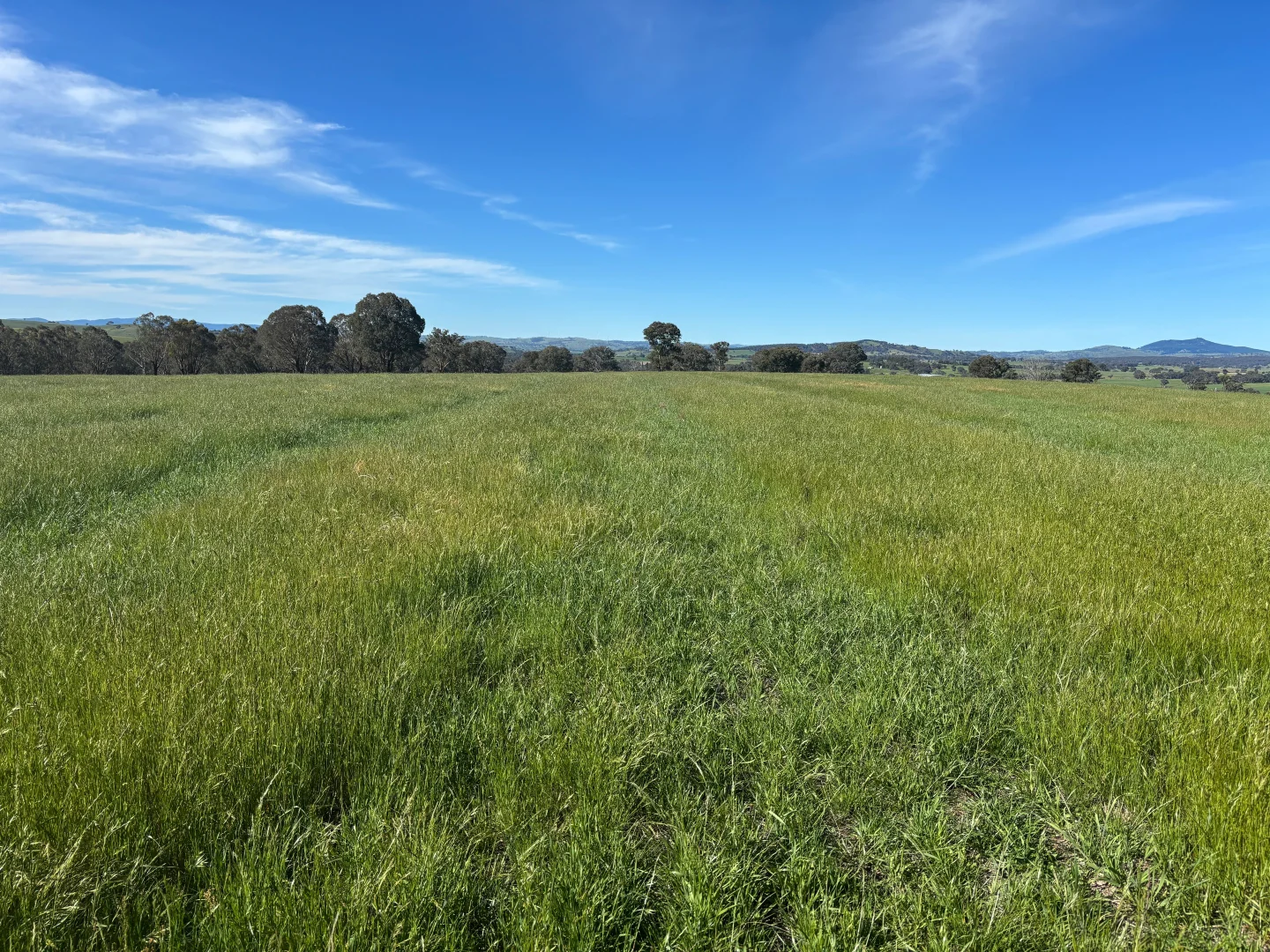 Additional image 4 of 1050 Garland Road, Garland NSW 2797