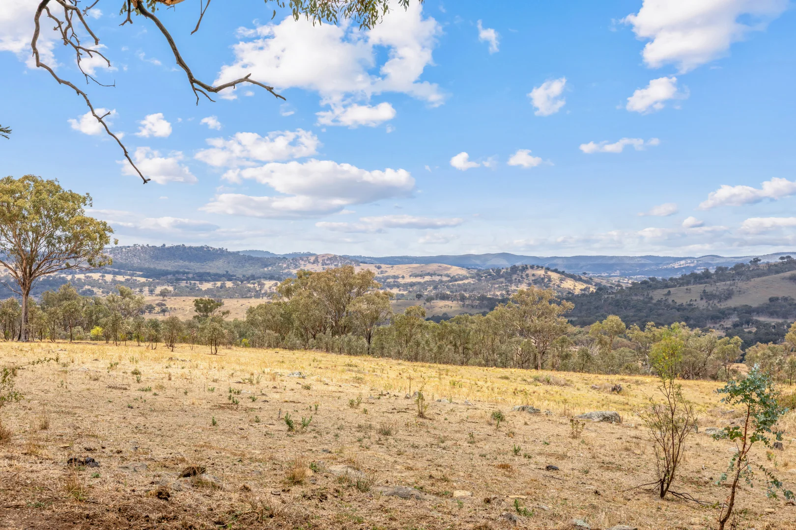 Additional image 21 of 748 Turondale Road, Duramana NSW 2795