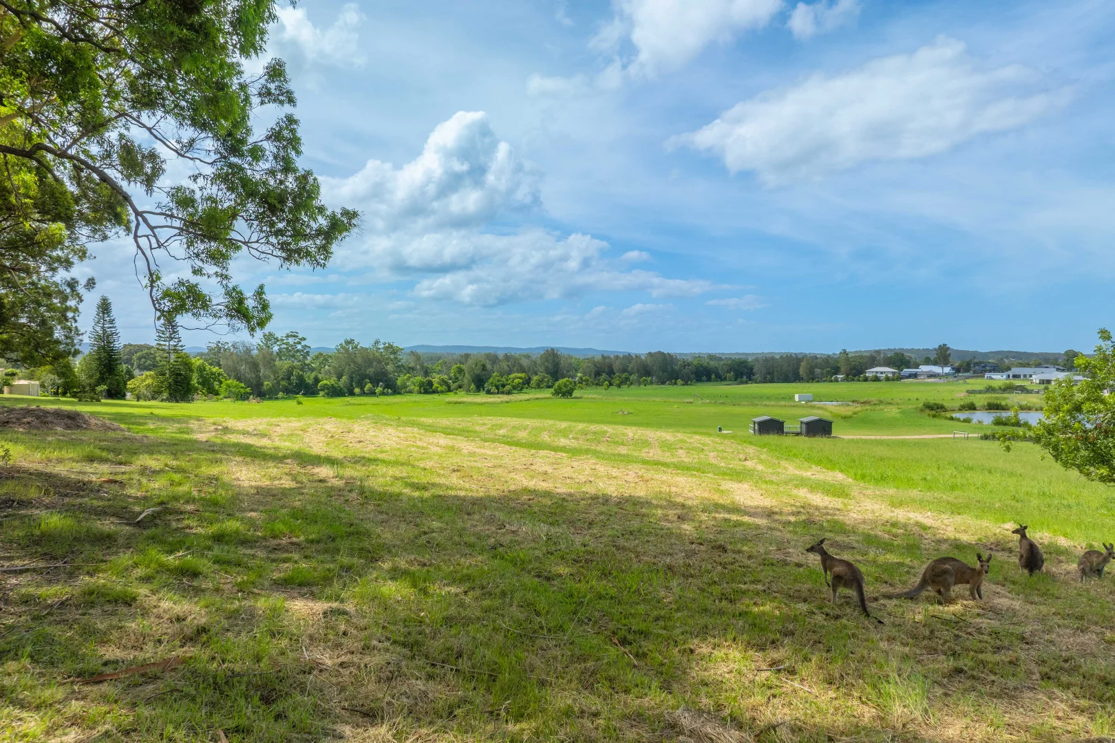 Additional image 8 of Lot 80 Provence Close, Sancrox NSW 2446