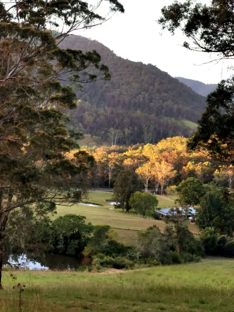 Additional image 4 of 5611 Oxley Highway, Ellenborough NSW 2446