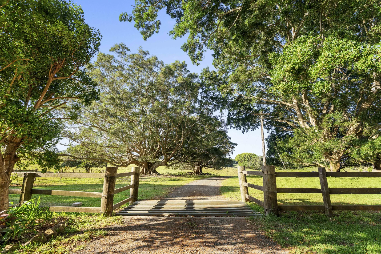 Additional image 14 of 241 Alcorn Road, Knockrow NSW 2479