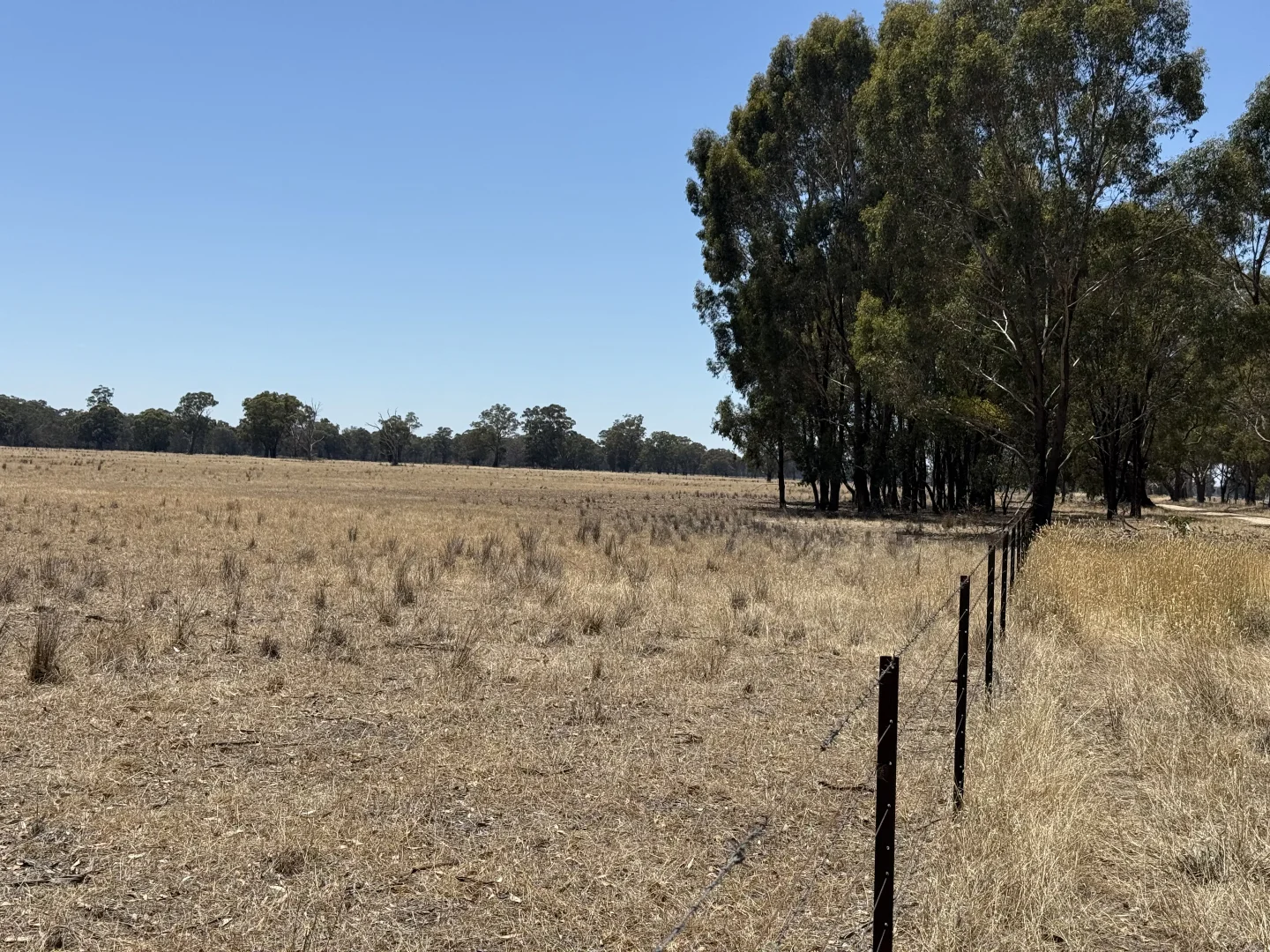 Additional image 9 of Cnr Clohessy Road and Escort Bridge Road, Norong VIC 3682